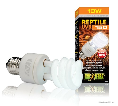 Exo terra repti glo - terra,