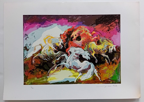 Gianni testa cavalli bradi - testa,