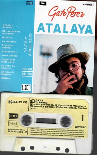 Gato perez atalaya - gato,