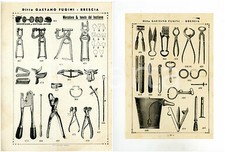 1910 ca BRESCIA Ditta Gaetano FUGINI - Ferri per uso agricolo *Lotto due veline