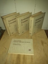 Anatomia Umana - Edi Ermes