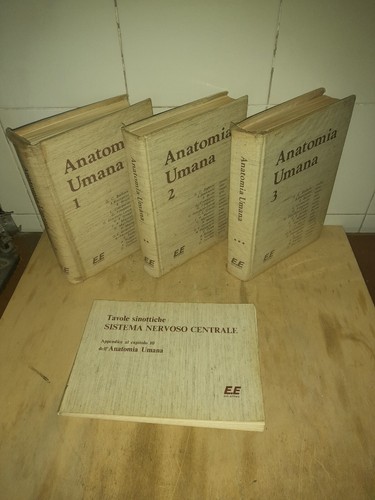 Anatomia umana edi ermes - anatomia,