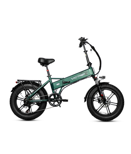 Fat bike elettrica 48v 250w - t5,