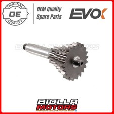 INGRANAGGIO QUADRUPLO 4/CORTA