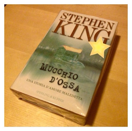 Stephen king mucchio d ossa - stephen,