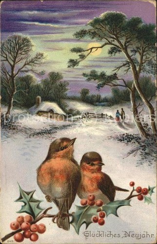 Voegel birds oiseaux uccelli - voegel,