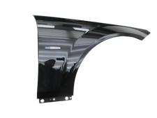 Parafango Dx anteriore per 197