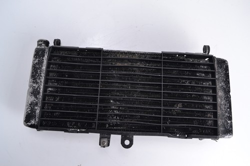 Radiatore honda 900 hornet - cb,