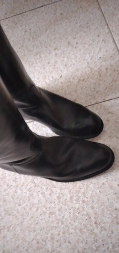 Stivali cavallo nuovi neri - stivali,