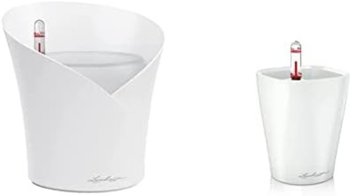 Lechuza vaso orchidea - vaso,
