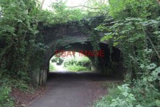 PHOTO  TUNNEL BENEATH THE HAY