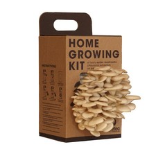 Resetea Kit Coltivazione