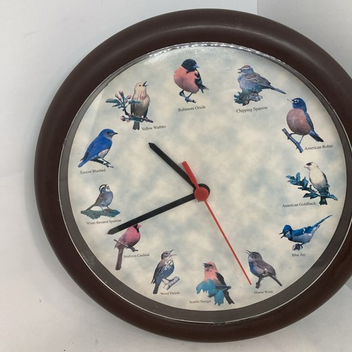 Orologio parete bird - orologio, sound