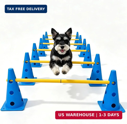 Dog agility training - dog,