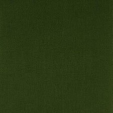 Tessuto In Velluto Di Cotone Khaki Verde A Righe 21