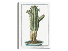 Quadro stampa su tela con