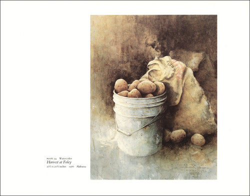 Immagine acquerello 1987