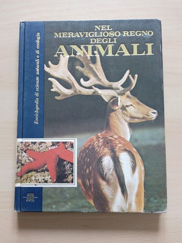 Nel meraviglioso regno degli - meraviglioso,