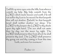 Calamita Frigo Salmi Capitolo