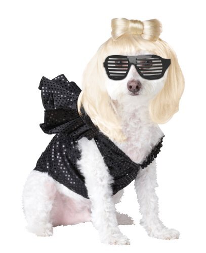 Costume pop sensation lady - costume,