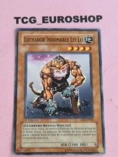 Combattente indomabile Lei Lei
