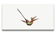 120x60cm Remaster Colibrì