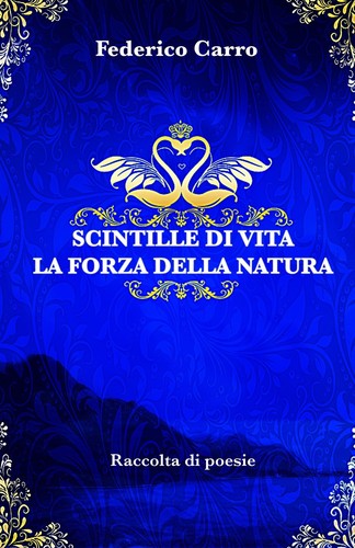 Raccolta federico carro - raccolta:,
