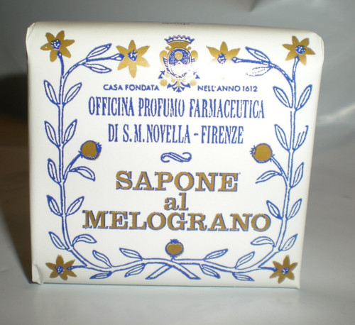 Santa maria novella - santa,