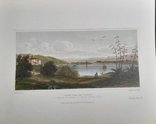 Stampa a colori riproduzione