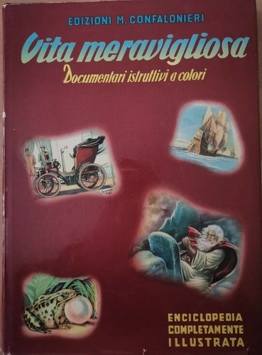 Vita meravigliosa - meravigliosa,