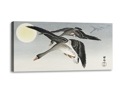 Quadro stampa tela con - su,
