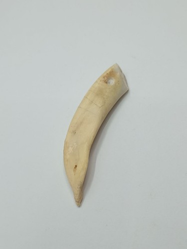 Plastilina urss plastica denti - plastilina,