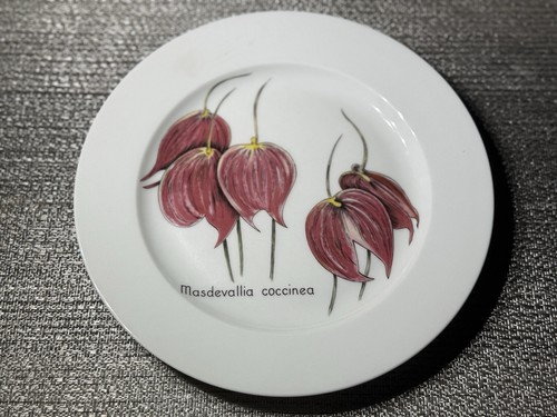 Bernardaud limoges masdevallia - bernardaud,