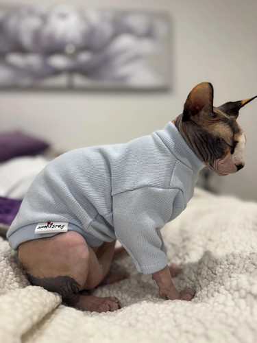 Maglione sphynx maglia - maglione,