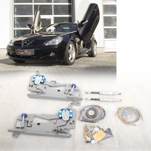 Lsd lambo doors - doors, a