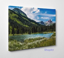 🦋 Quadro Montagne Alpi Lago