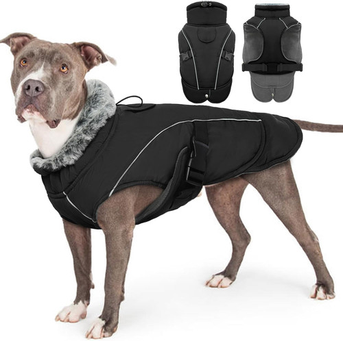 Cappotto invernale per - cappotto, cani