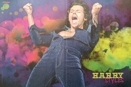 Harry styles poster - poster, x