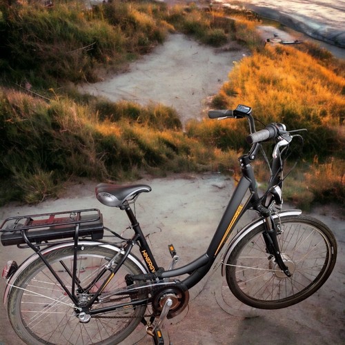 Bici bicicletta ebike - bici,