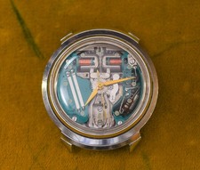 Custodia tartaruga vintage