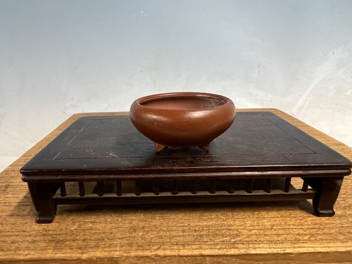 Vaso per bonsai - , tokoname