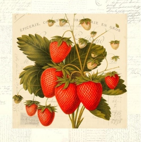 Quadro frutta fragole stampa - quadro,
