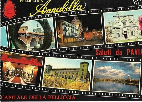 Pavia pellicceria annabella - pavia-pellicceria,