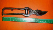 DOLMETSCH- PICCOLA CESOIA DA POTATURA-PER FIORI.