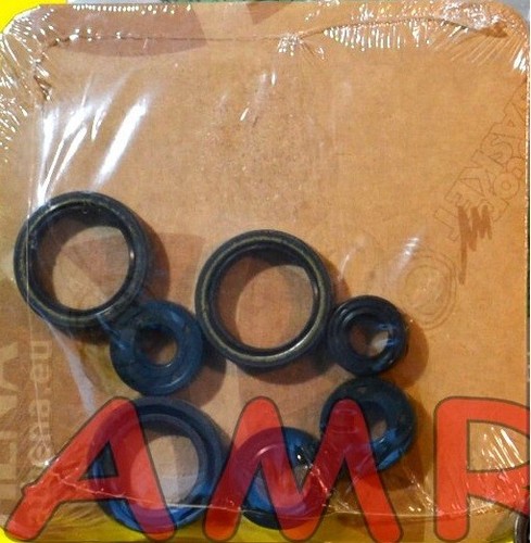 Kit paraolio motore - kit,