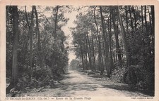 17 SAINT TROJAN LES BAINS