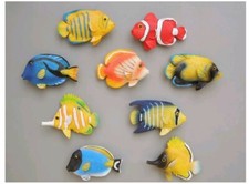 Set Calamite Pesci Tropicali