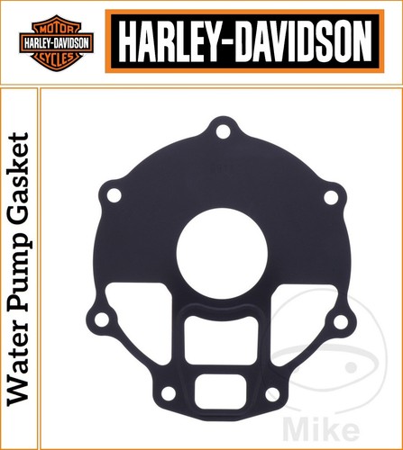 Guarnizione pompa acqua - , harley