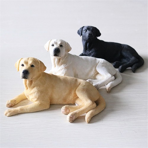 Jjm labrador retriever cane - labrador,