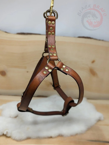 Imbracatura per cani - in, vera